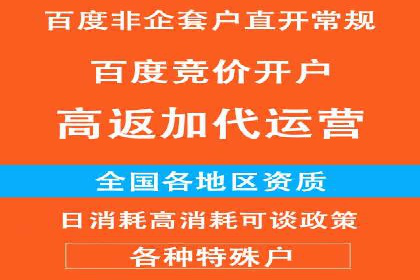 快手平台信息流广告的创意展示与效果评估